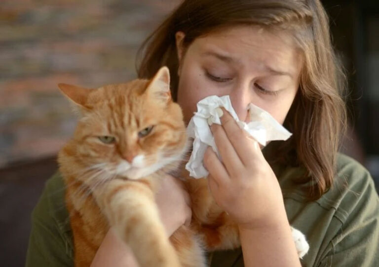 How Pet Insurance Can Help with Common Pet Allergies and Their Treatments