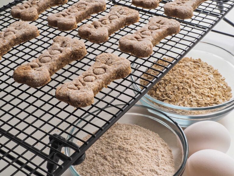 Homemade Treats for Happy Pets: Easy Recipes for Your Furry Friends