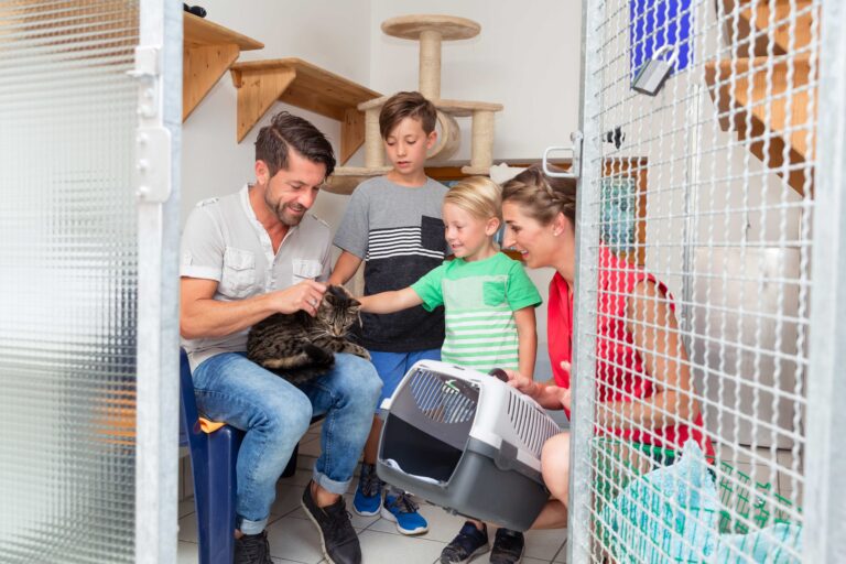 Adoption 101: A Step-by-Step Guide to Adopting a Pet