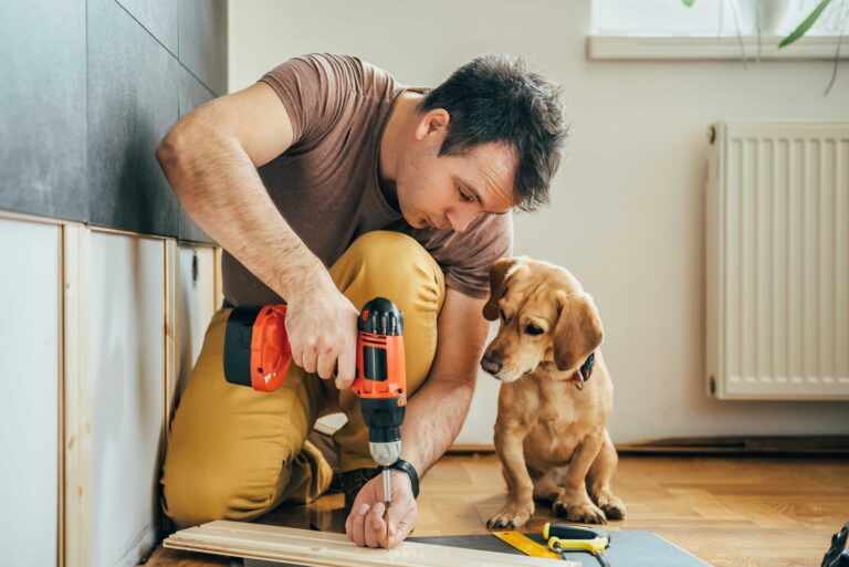 Pet DIY Projects: Fun and Functional Creations for Your Home