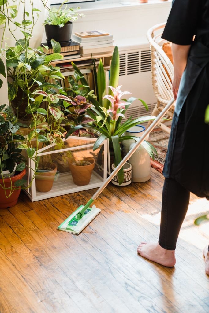 A person mopping wooden floors surrounded by houseplants, creating a serene and fresh atmosphere.